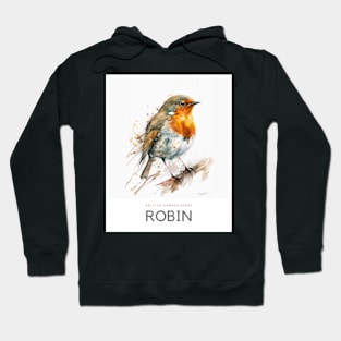 British Garden Birds: Robin Hoodie